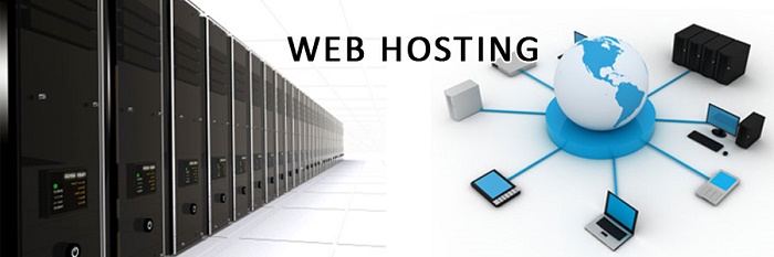 Cách lựa chọn hosting phù hợp với nhu cầu sử dụng